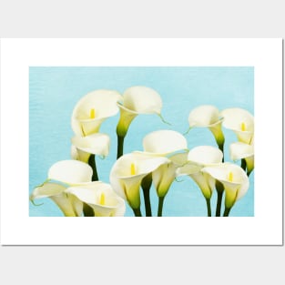 White Calla Lily Beauty Posters and Art